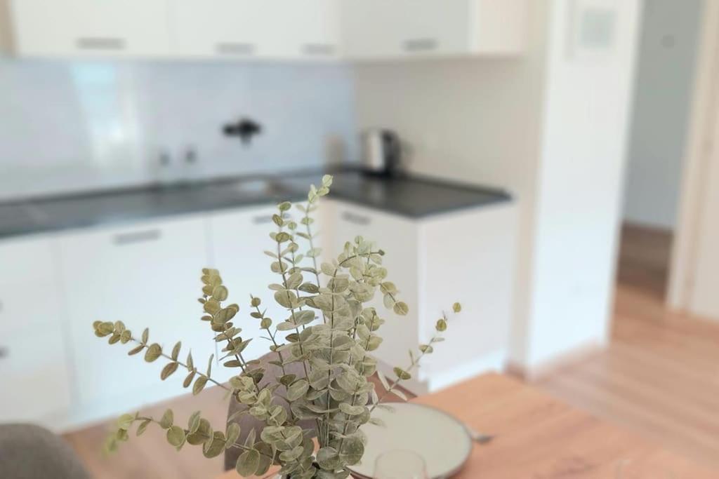 Renovated Flat Close To The Centre Merano Kültér fotó